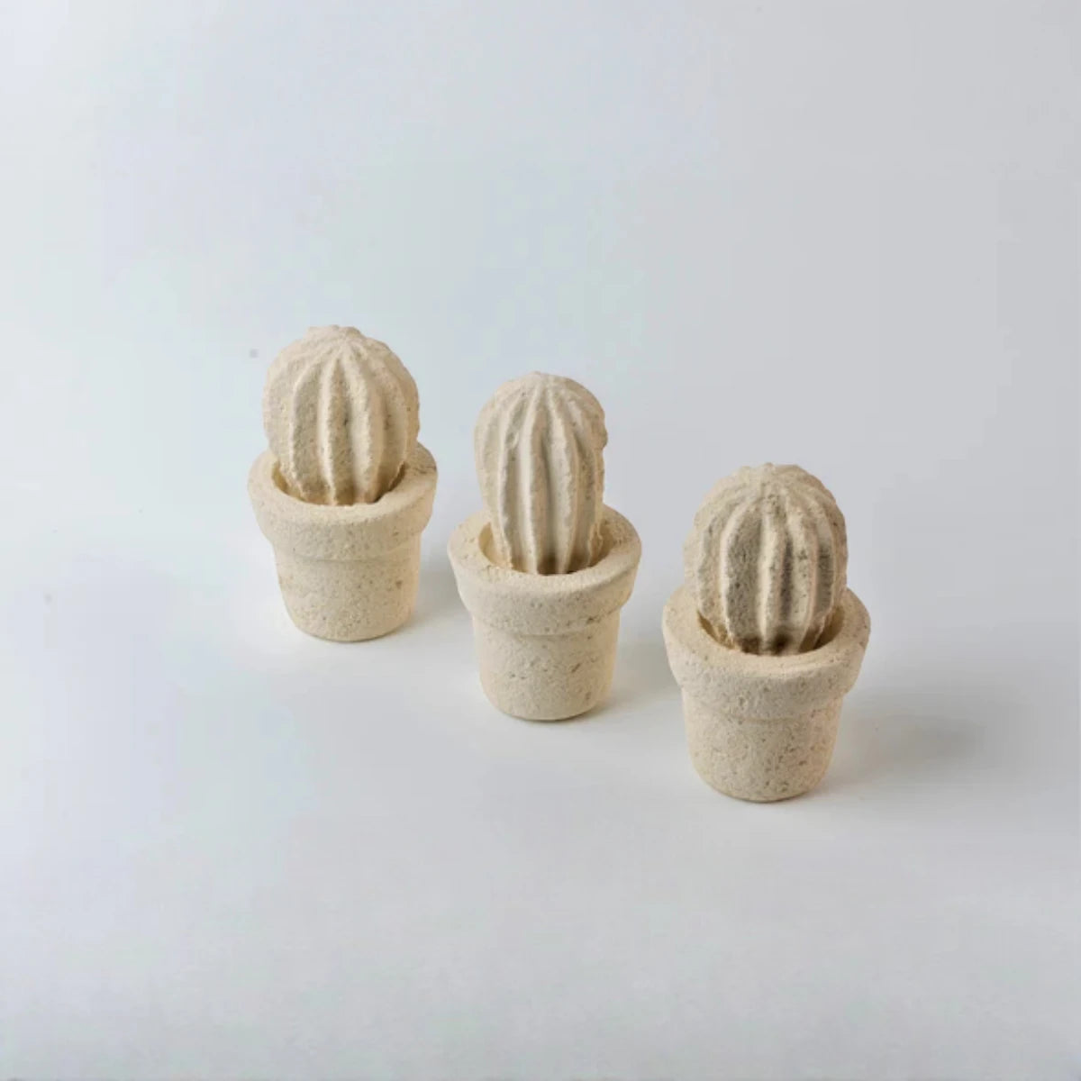 Cactus mini (3 unita')
