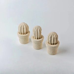 Cactus mini (3 unita')