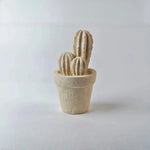 Carica l&#39;immagine nel visualizzatore di Gallery, Cactus
