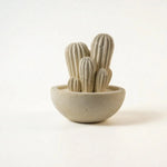 Carica l&#39;immagine nel visualizzatore di Gallery, Cactus grande
