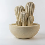 Carica l&#39;immagine nel visualizzatore di Gallery, Cactus grande
