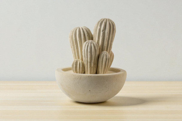Cactus grande