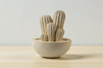 Carica l&#39;immagine nel visualizzatore di Gallery, Cactus grande
