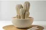 Carica l&#39;immagine nel visualizzatore di Gallery, Cactus grande
