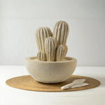 Carica l&#39;immagine nel visualizzatore di Gallery, Cactus grande
