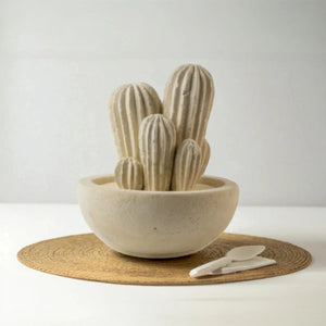 Cactus grande