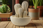 Carica l&#39;immagine nel visualizzatore di Gallery, Cactus grande
