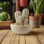 Carica l&#39;immagine nel visualizzatore di Gallery, Cactus grande
