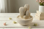 Carica l&#39;immagine nel visualizzatore di Gallery, Cactus grande
