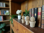 Carica l&#39;immagine nel visualizzatore di Gallery, Cactus mini (3 unita&#39;)
