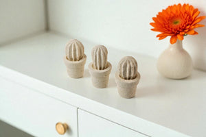Cactus mini (3 unita')
