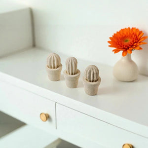 Cactus mini (3 unita')
