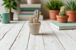 Carica l&#39;immagine nel visualizzatore di Gallery, Cactus
