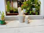Carica l&#39;immagine nel visualizzatore di Gallery, Cactus
