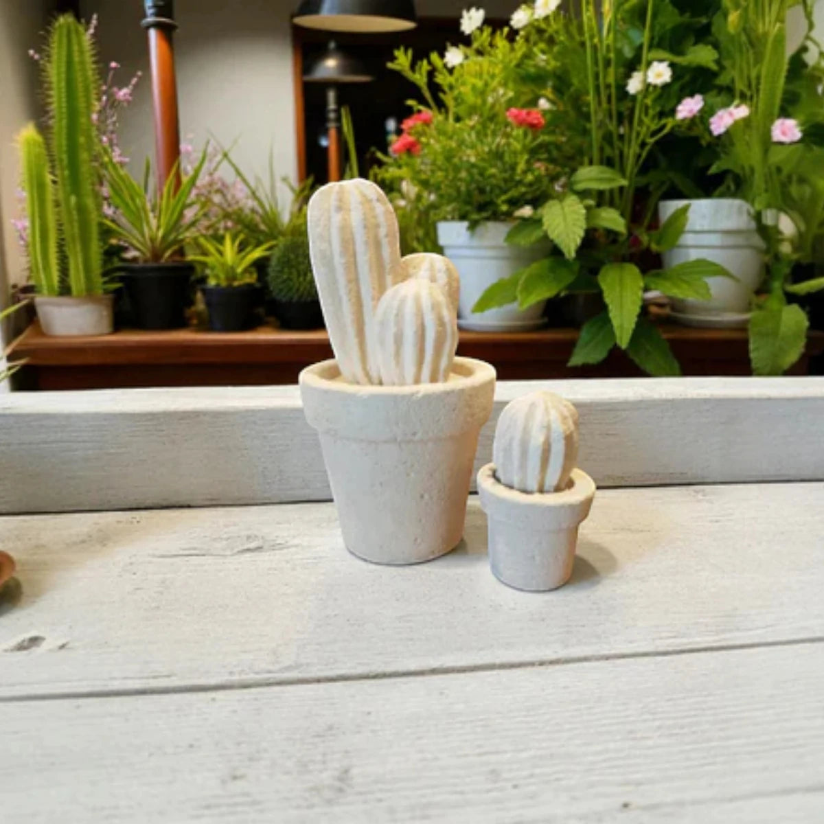 Cactus