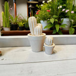 Carica l&#39;immagine nel visualizzatore di Gallery, Cactus
