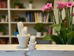 Carica l&#39;immagine nel visualizzatore di Gallery, Cactus
