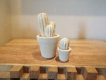Carica l&#39;immagine nel visualizzatore di Gallery, Cactus

