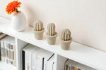 Carica l&#39;immagine nel visualizzatore di Gallery, Cactus mini (3 unita&#39;)
