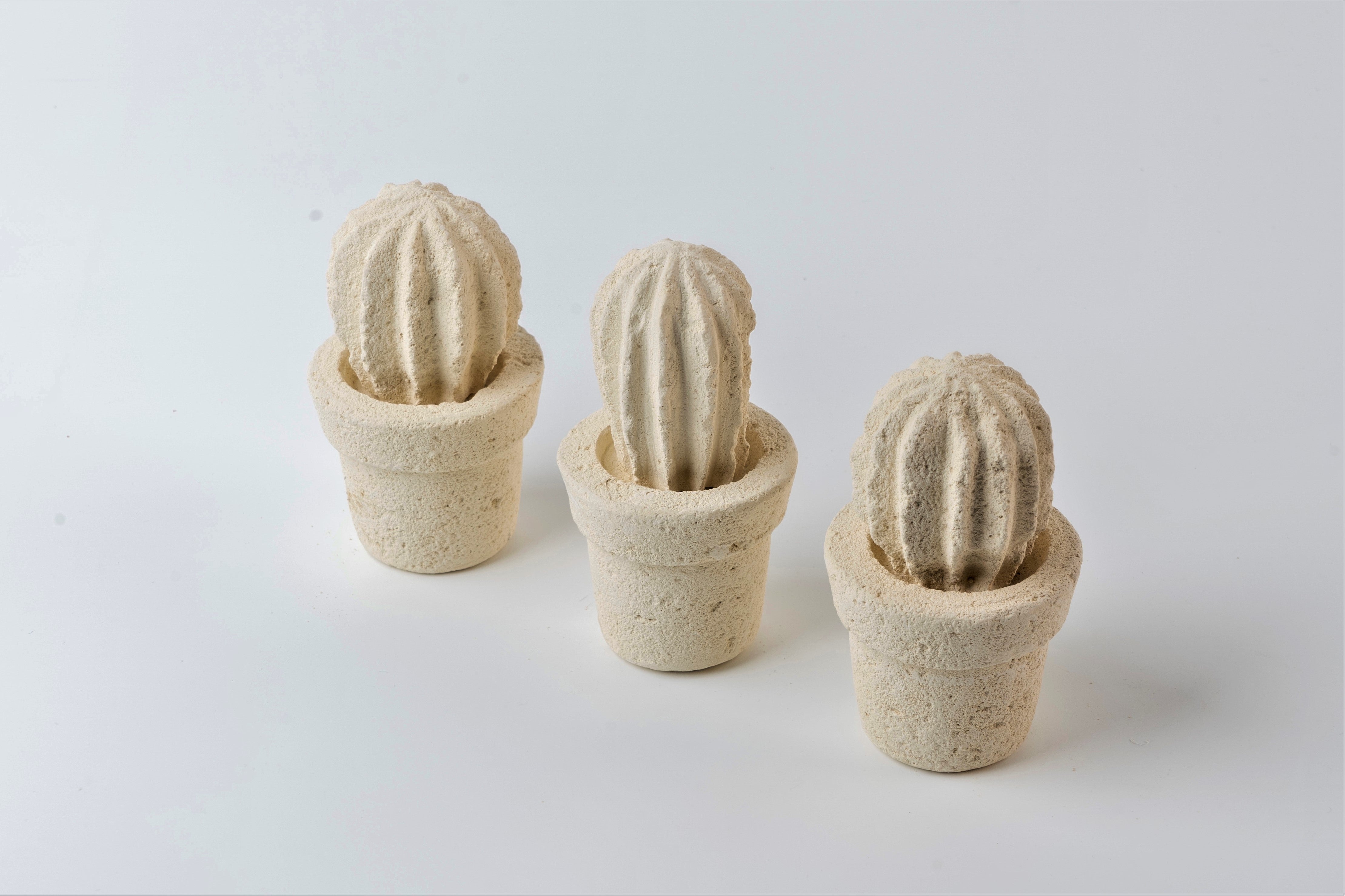 Mini cactus (3 unités)