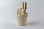 Charger l&#39;image dans la galerie, Cactus
