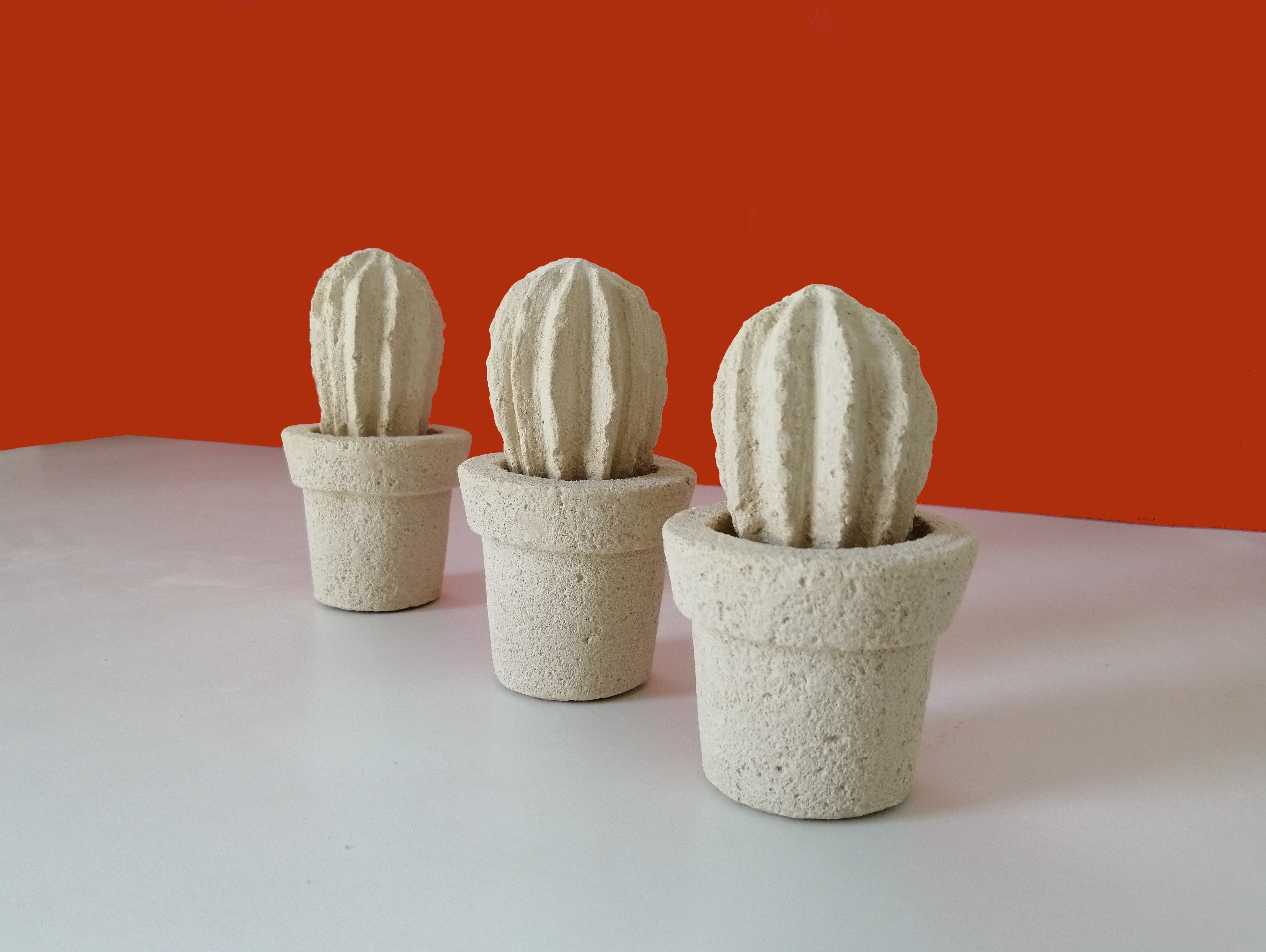 Mini cactus (3 unités)