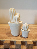 Cargar imagen en el visor de la galería, Cactus

