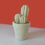 Carica l&#39;immagine nel visualizzatore di Gallery, Cactus
